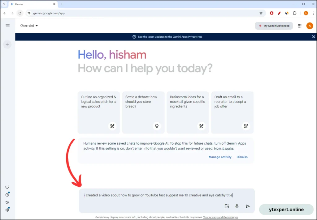 write a prompt in google gemini